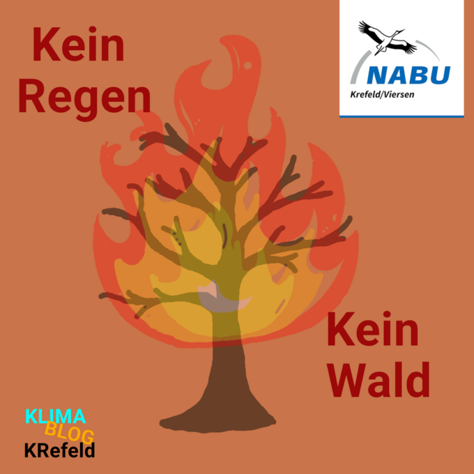 Foto/Grafik: NABU Krefeld/Viersen Amelie Waletzke