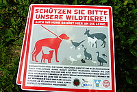 Die gemeinsam gestaltete Tafel informiert die Hundebesitzer über die Gefahren für die Wildtiere