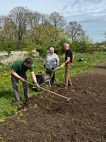 Wurzeln und Pflanzenteile ausharken