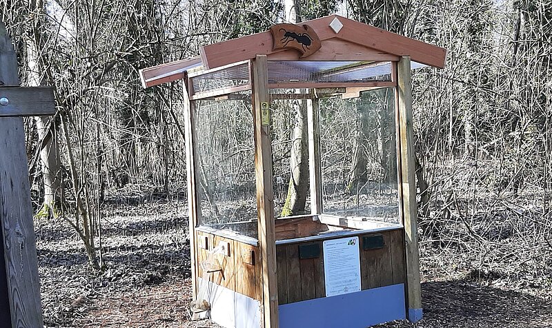 Das runderneuerte Formicarium im Schloßpark Neersen. Foto: NABU Willich