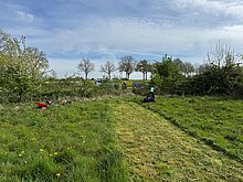 Aufwuchs mit Kreiselmäher entfernt
