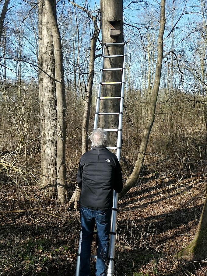 Foto: Jörg Tilmans