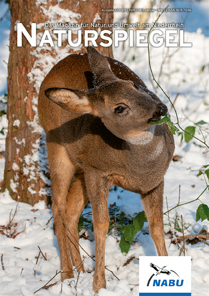 Naturspiegel - Unser Mitgliedermagazin