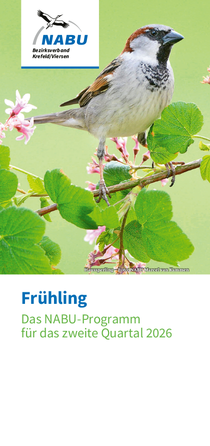 Quartalsprogramm 2/2026